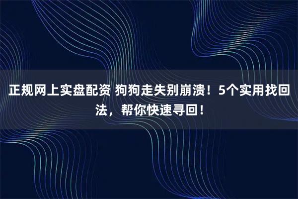 正规网上实盘配资 狗狗走失别崩溃！5个实用找回法，帮你快速寻回！